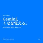Geminiskills Google