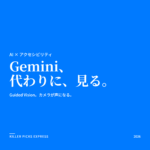 GuidedVision Google